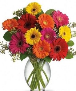 Gerberas premium quality hand picked.